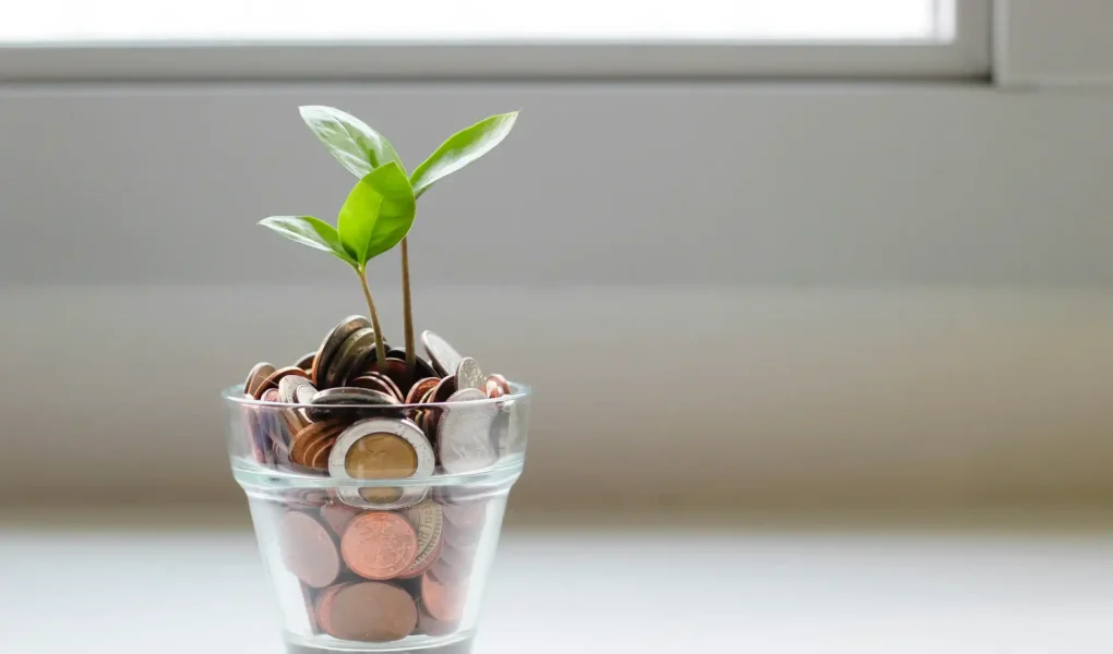 Imagem de uma planta crescendo em uma Taça cheia de moedas, simbolizando crescimento financeiro e organização de finanças pessoais.