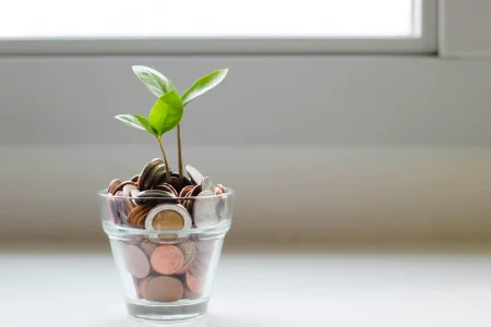 Imagem de uma planta crescendo em uma Taça cheia de moedas, simbolizando crescimento financeiro e organização de finanças pessoais.