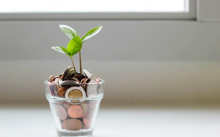 Imagem de uma planta crescendo em uma Taça cheia de moedas, simbolizando crescimento financeiro e organização de finanças pessoais.