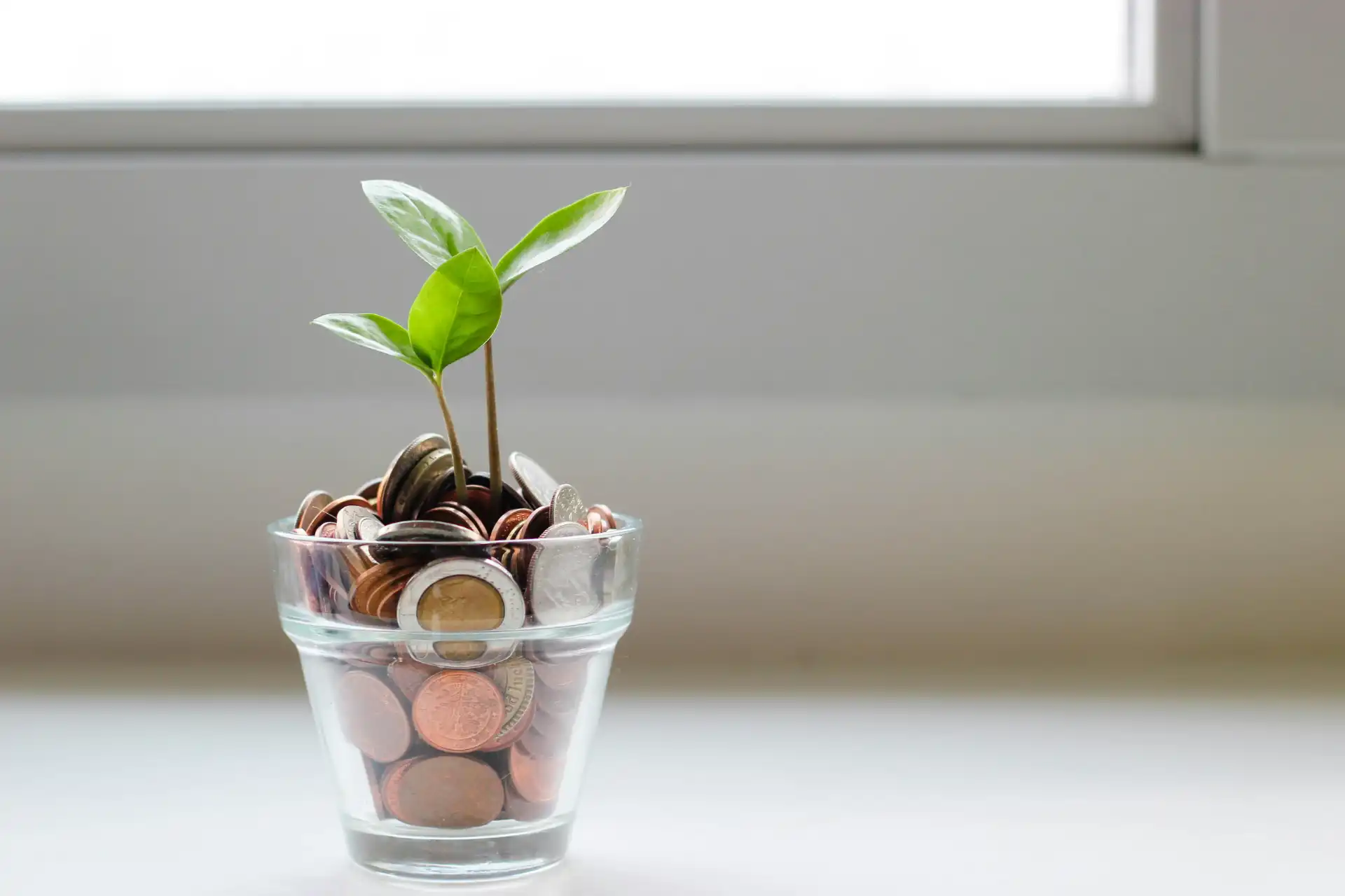 Imagem de uma planta crescendo em uma Taça cheia de moedas, simbolizando crescimento financeiro e organização de finanças pessoais.
